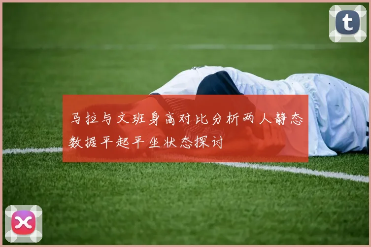 马拉与文班身高对比分析两人静态数据平起平坐状态探讨
