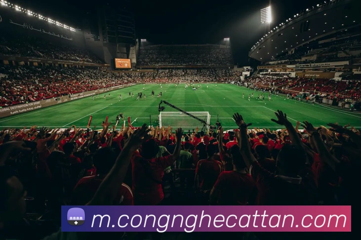 MK官方网站APP 封面图